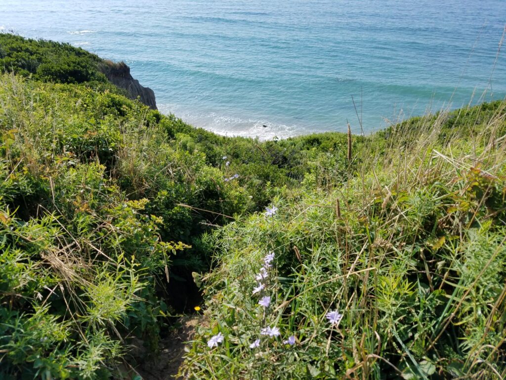 Block Island bluffs